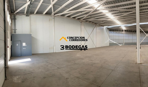 Arriendo Bodega De 300 M2 En Camino A Noviciado.