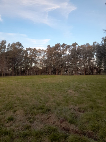 Particular Alquila Parcela/lote En Zona Ruta 36 La Plata