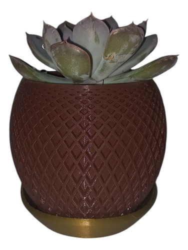 Maceta Ideal Para Tus Plantas Pequeñas Marrón Oscuro Maceta Elegante