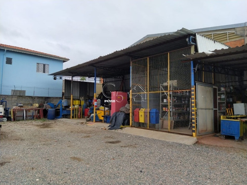 Imagem 4 de 6 de Terreno - Te00143 - 69572296