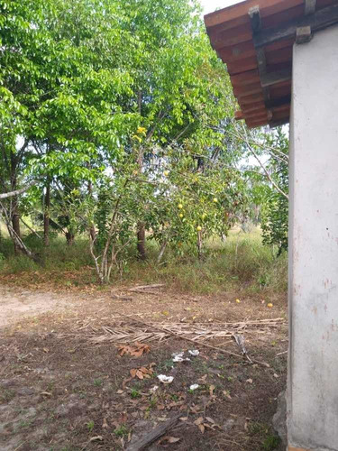 Imagem 2 de 8 de Vendo Terra Produtiva Com Água Corrente