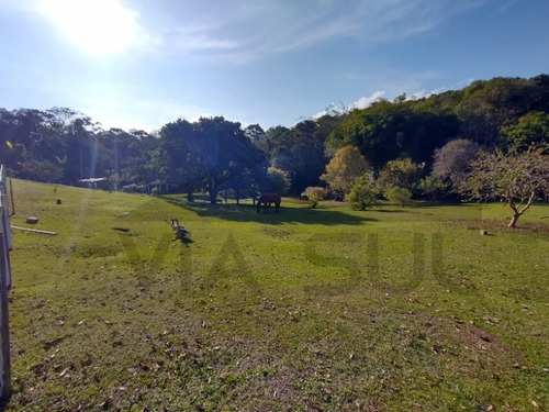 Imagem 21 de 30 de Exuberante Sítio Completo, Rico Em Água Com Nascente Própria, 02 Lagos Piscosos. Excelente Oportunidade!!! Localizado Em Juquitiba/sp - 27 - 32982809