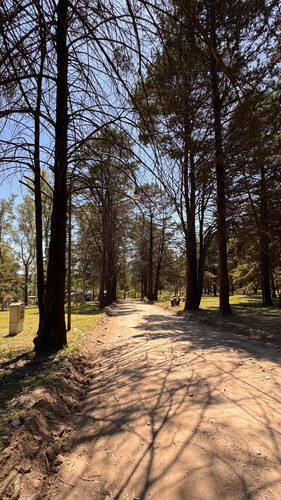 Lotes En Villa General Belgrano