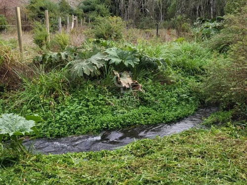 Hectárea , Camino Bajos De Frutillar, Sin Condominio