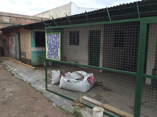 Imagen 4 de 14 de Galpón En Venta De 291m2 Ubicado En Alférez San Martin