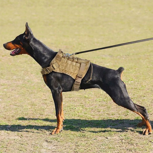 Arnés Táctico Profesional Ajustables Para Perros Grandes