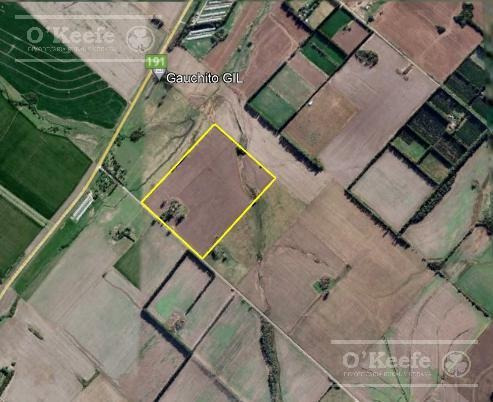 Imagen 25 de 29 de Chacra Agricola En Venta 32 Has- San Pedro