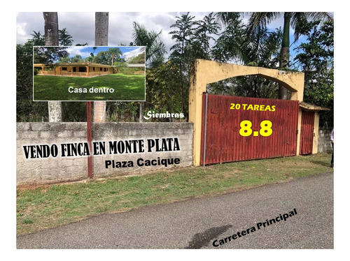 Vendo Excelente Finca Hacienda 20 Tareas, Sembrada De Naranjas En Plaza Cacique De Monte Plata