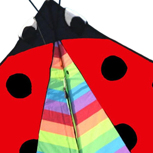 Triangle Ladybug Kite Fly Kite Easy Control Delta Kite Para