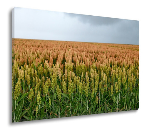 Quadro Decorativo Grande Tela Canvas Agropecuária 130x90cm Cor Sorgo 01 Cor da armação Tecido Sobre Tela