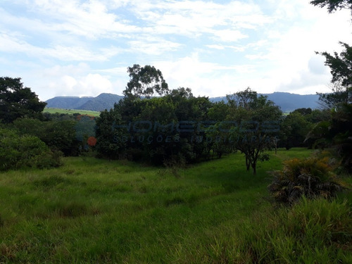 Imagem 6 de 23 de Chácara Para Venda Em São Pedro - Chácaras Abc De São Pedro R$ 490.000,00 - Ch00057 - 69422093