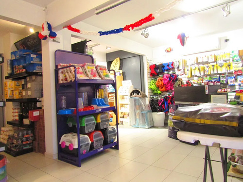 Local Comercial  Casa De 3 Pisos Con Patente En Vitacura