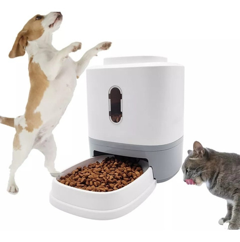 Plato Interactivo Para Gatos Y Perros Alimentación Lenta Cs 