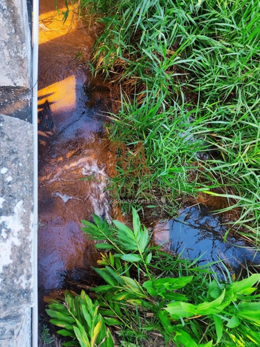 Imagem 30 de 30 de Sítio Em Mogi Das Cruzes Sp