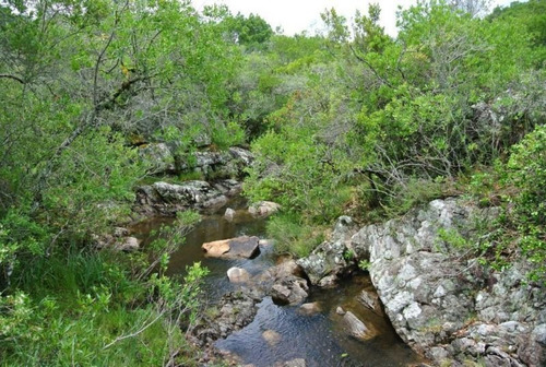 Quinta | Ruta 12 Y 5kms De Camino Vecinal