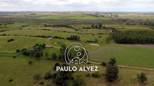 Chacras-venta-pan-de-azucar-ch036