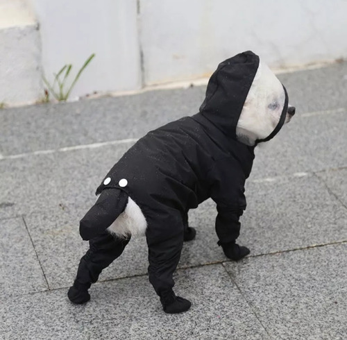 Impermeable De Lluvia Con Gorro Para Mascotas Perro Gato