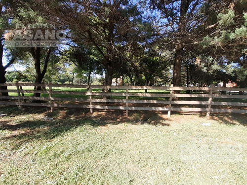 Imagen 12 de 18 de Terreno - La Plata