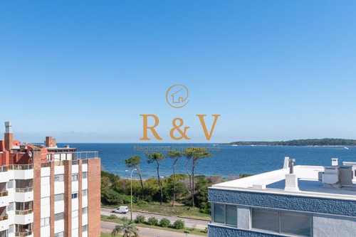 Imagen 3 de 23 de Apartamento De Dos Dormitorios En Venta Reciclado En Venta