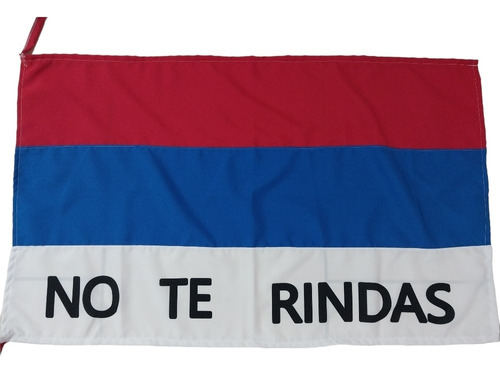 Bandera Frente Amplio Con No Te Rindas, Mediana, Fabricamos