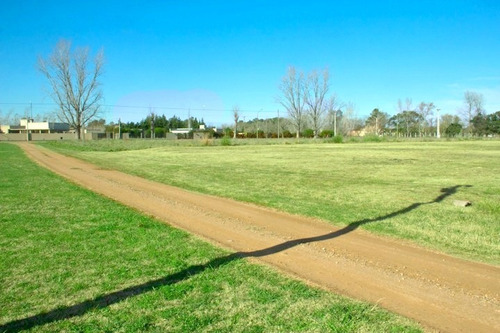 Imagen 1 de 6 de Vendo Lote