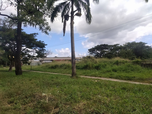 Imagen 2 de 8 de Terreno Vía Cúa-san Casimiro, Sector Aparay, Estado Miranda
