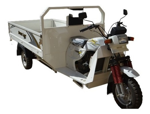 Imagen 8 de 25 de Triciclo De Trabajo 300cc Scooter Cargo Ideal Trabajo Gaf