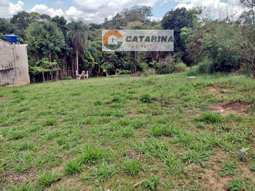Imagem 7 de 7 de Belíssimo Terreno 2000 M².