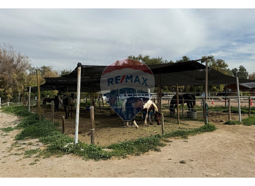 Se Vende Parcela Batuco De 8300 M2