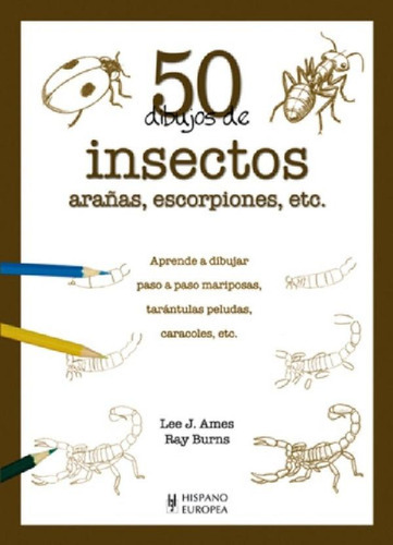 50 Dibujos De Insectos, Arañas, Escorpiones, Etc. - Lee Ame