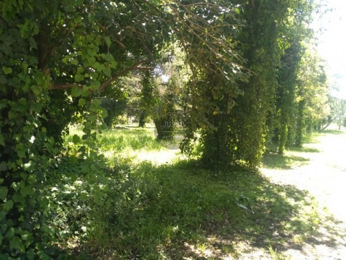 Imagen 8 de 15 de Lote Barrio Colinalegre Venta 625m2