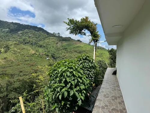 Hermosísima Finca Para Inversión