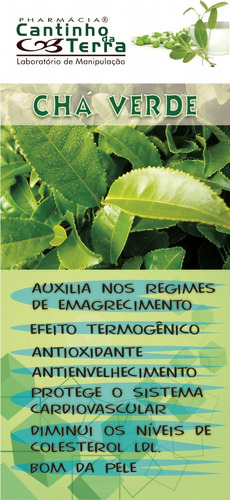 Kit Caps Chá Verde (camellia Sinensis) - 2 Frascos | Mercado Livre