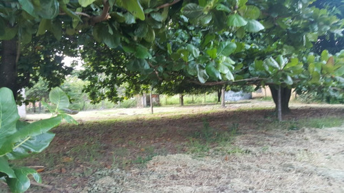Chacara 5000m2 Casa Sede 200m2 3 Dorms 1 Suíte 3 Banheiros - Ch00018 - 34932686