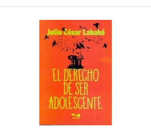 Libro El Derecho De Ser Adolescente Julio C Labake Bonum