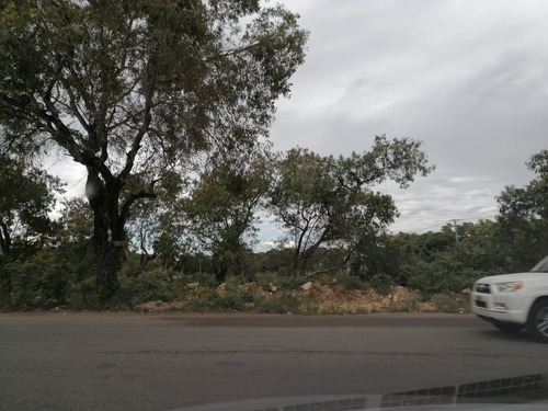 Alquilo Solar De 4000 Metros Autopista De San Isidro 