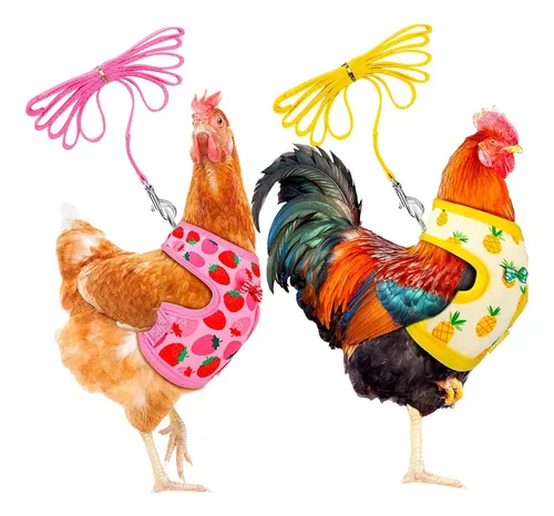 comprar Frienda Juego De 2 Arnés Y Correa Ajustables Para Pollo De