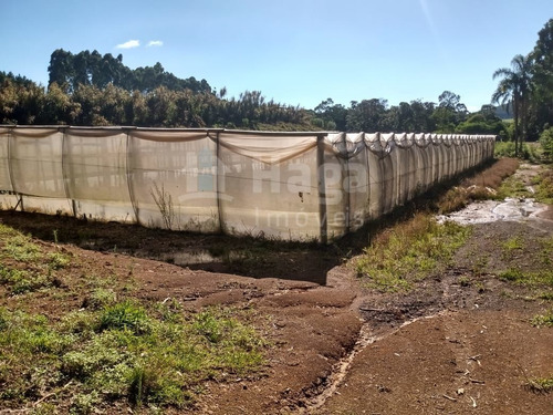 Sítio A Venda Em Rio Dos Cedros/sc - 1742c