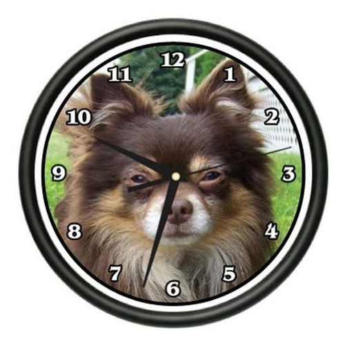 Pelo Largo Reloj De Pared De La Chihuahua Perrito Perro...