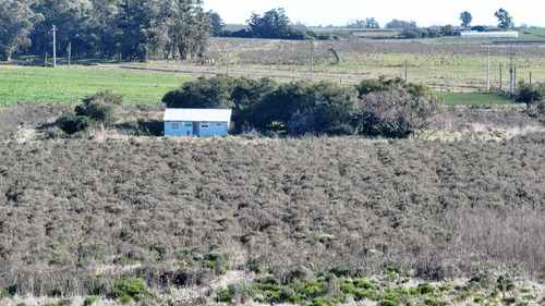Chacra De 8 Hectáreas Con Casa Y Coneat 190, Buena Tierra