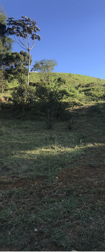 Lote Independiente Guarne Vereda El Sango Parte Alta