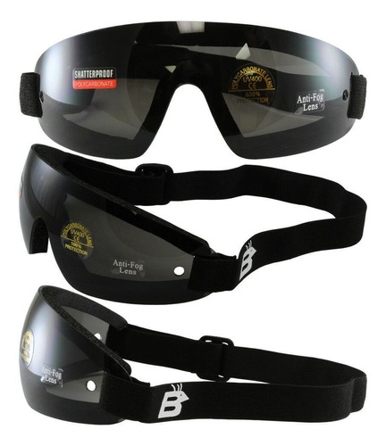 Gafas Para Motociclistas Birdz 12 Wing Sky Color Gris