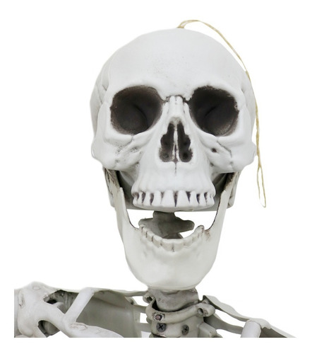 Imagen 7 de 9 de Decoracion Esqueleto Halloween 1.85 Mts Extremidades Moviles