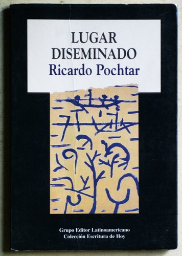 Lugar Diseminado / Ricardo Pochtar