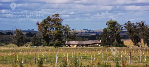 Campo - José Ignacio
