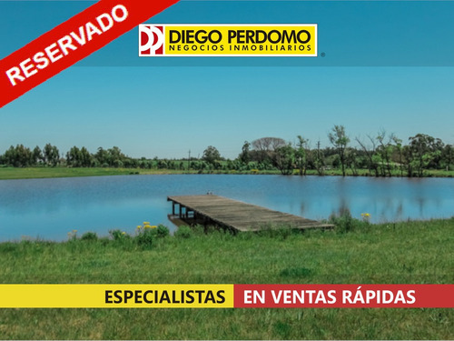 Terreno De 1393m² En Venta En Parque Del Lago
