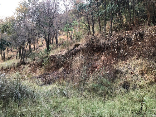 Venta De Terreno En Lerma, Estado De México