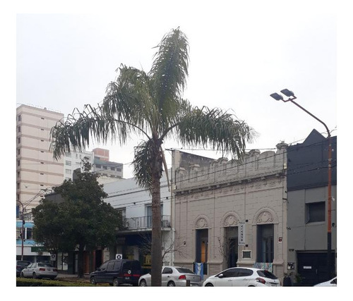 Departamento En Venta - 1 Dormitorio 1 Baño - 59mts2 - Tres Arroyos