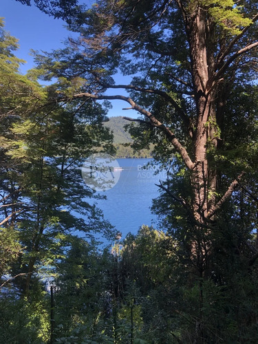 21442 - Espectaculares Sitios En Lago Pirihueico