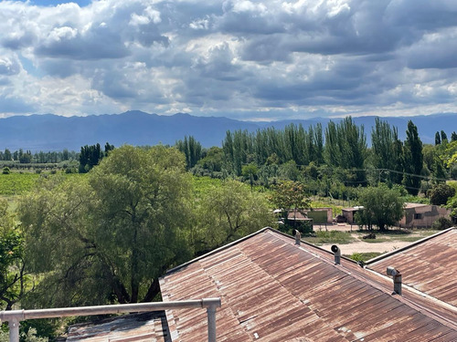 Bodega En Maipú Mendoza